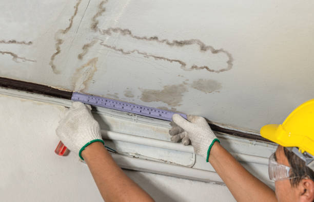 Reliable Flood Cleanup contractor in Reardan, WA by Water Damage Irwin